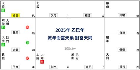 2025 五行|2025年，乙巳年，紫微斗數流年運勢分析，詳細介。